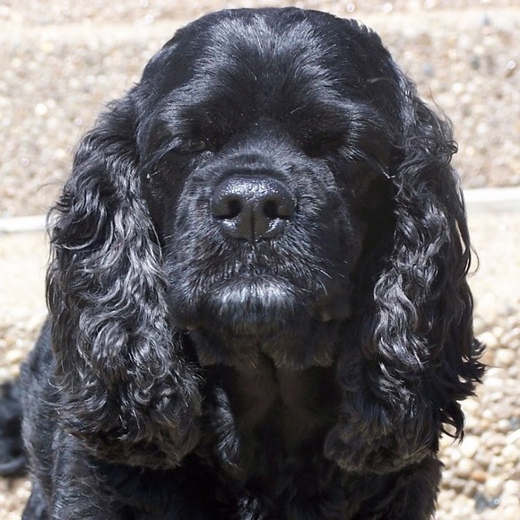 Meet your Posher, Lisa - Picture 1 of 1